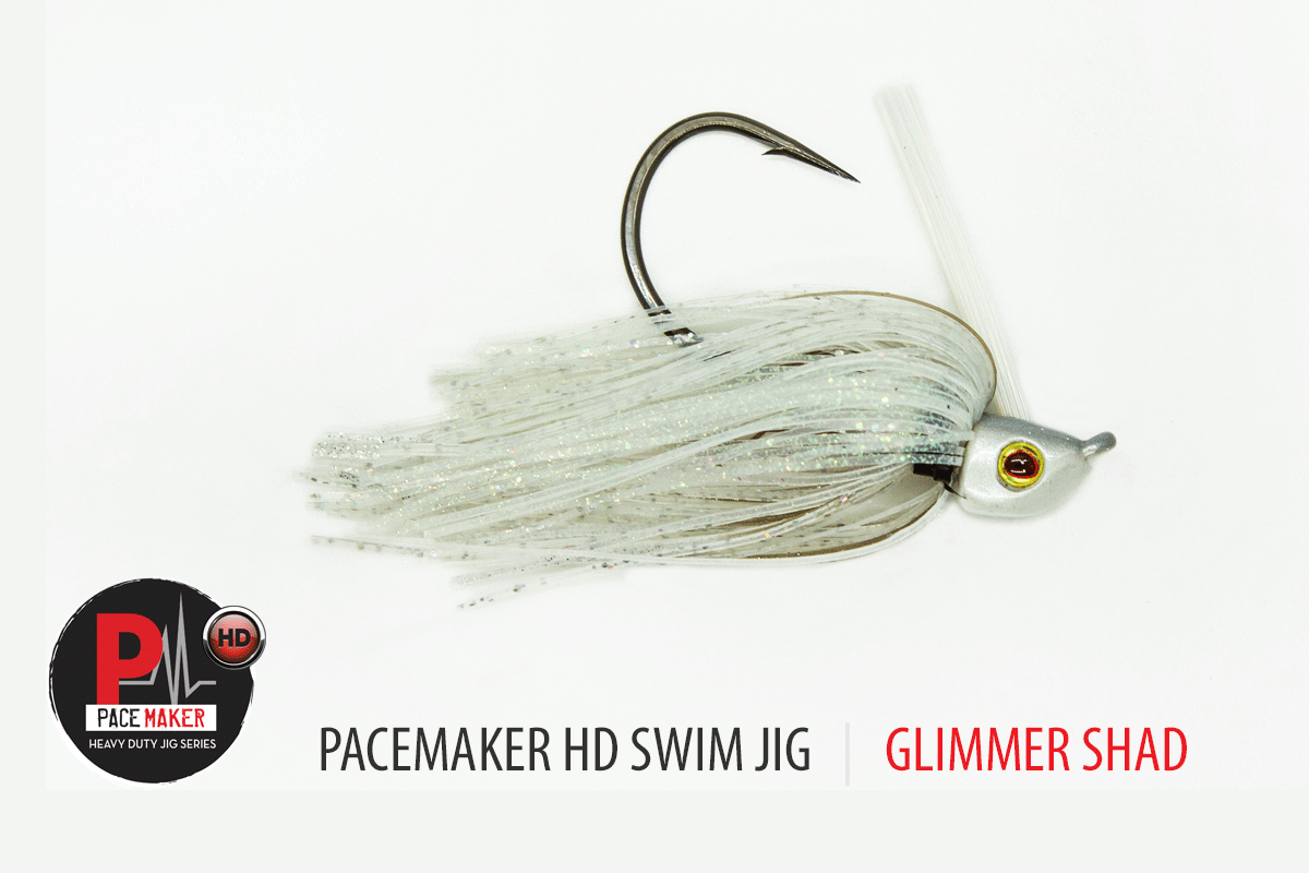 HD Swim Jig