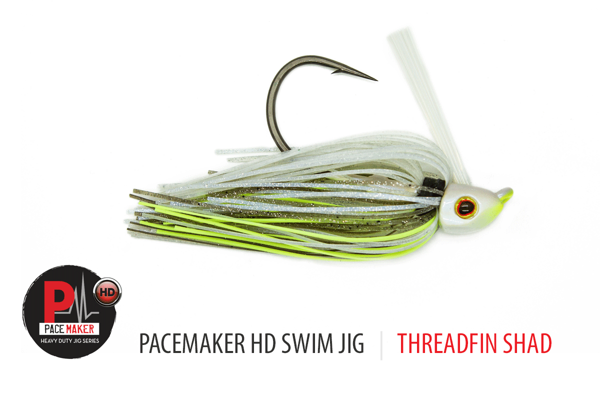 HD Swim Jig