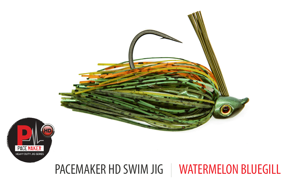 HD Swim Jig