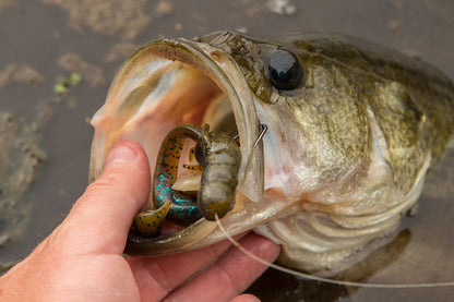 Cliff's Wild Craw