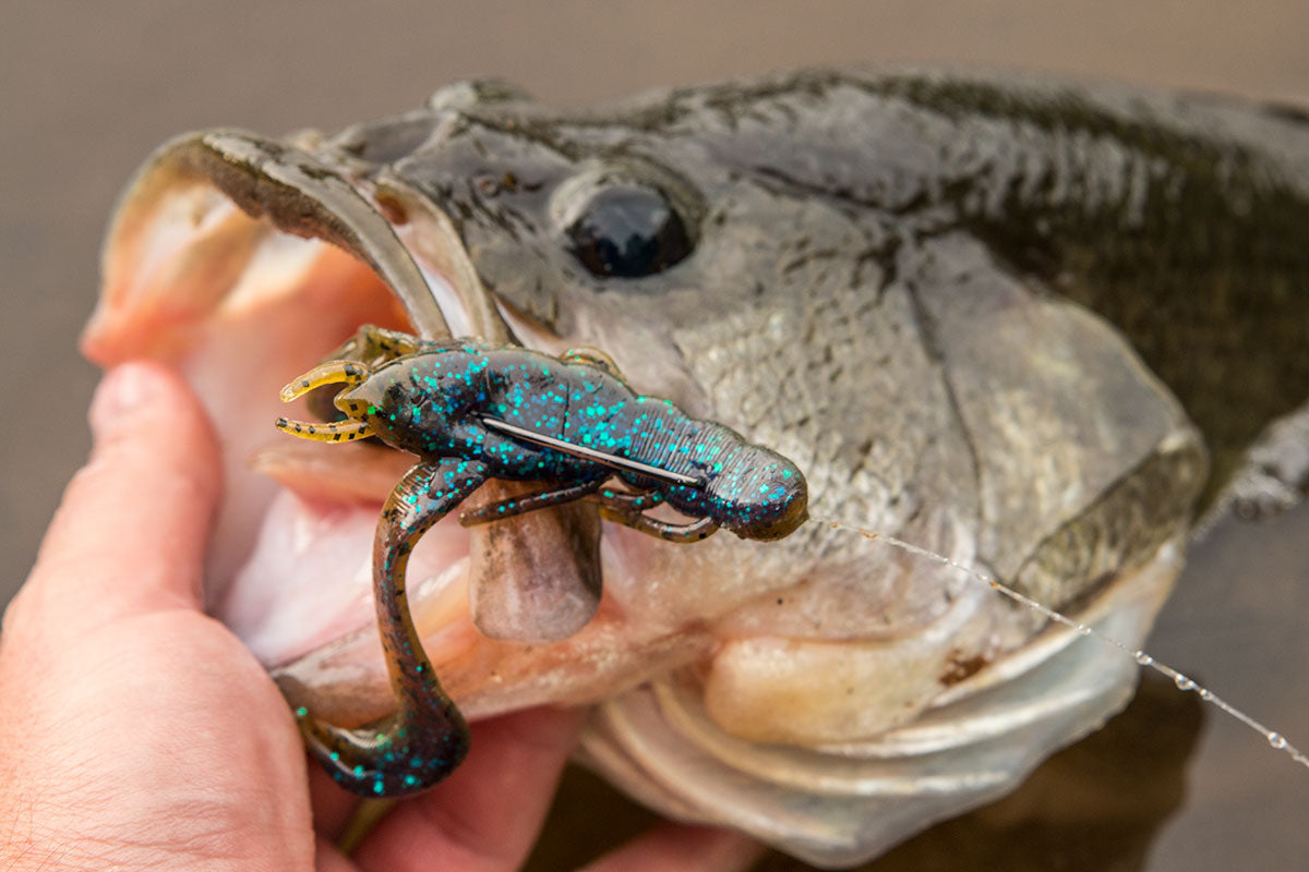 Cliff's Wild Craw